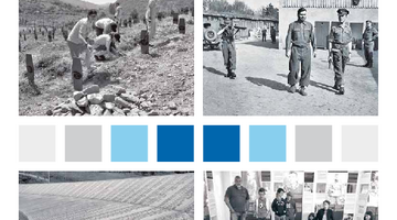Vorschaubild für Ausstellung "Krieg und Menschenrechte"